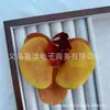 Grampo de Cabelo Orquídea Borboleta Impresso em 3D Acessório de Cabelo Lembrança Caixa de Presente DIY Caixa de Doces Decoração de Casamento Flor