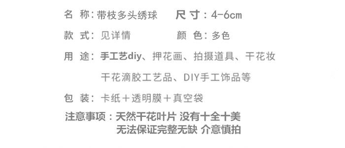 带枝多头绣球.png