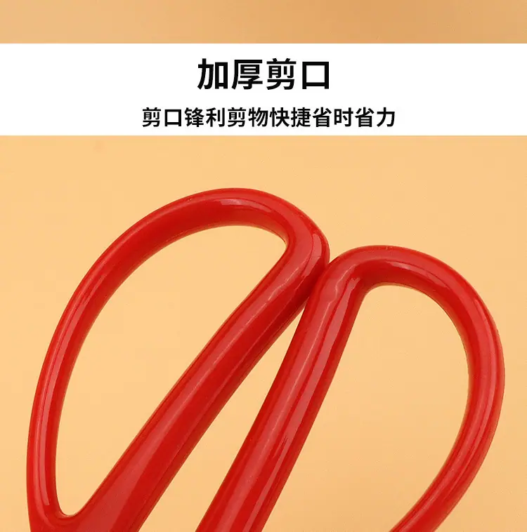 详情图片_1 (5)