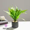 Amarelo-Esverdeado Árvore de Ferro Brasileira Planta Verde Planta Artificial em Vaso Decoração de Flor Artificial Sala de Estar Escritório Planta Verde Falsa Decoração de Mesa de Escritório