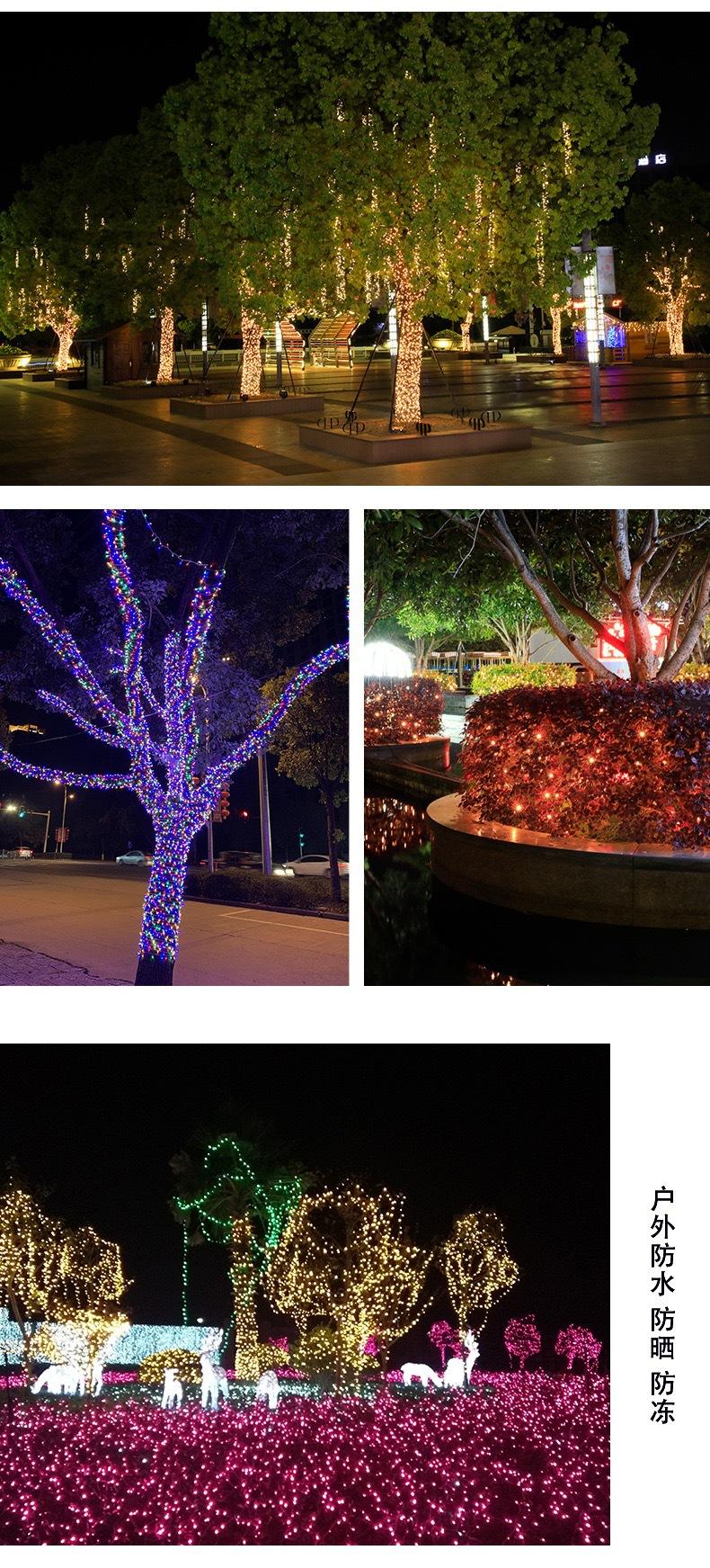 IMG_8156(20220930-082211)