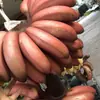 Plátano Rojo Belleza de Fujian Venta al por Mayor Dropshipping 1/3/ 2.5kg Plátano de Piel Roja Tropical No de Maíz Fruta Fresca