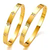 Pulsera de Acero de Titanio con Baño de Oro Real, Pulsera de Trébol de Cuatro Hojas Microincrustado con Circonitas de Lujo Ligero, Versátil y Elegante con un Toque de Alta Gama, Superventas Transfronterizo