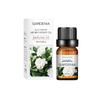 Aceite Esencial de Planta de Aromaterapia Soluble en Agua Perfumeoil Perfume Aceite Esencial de Aromaterapia Fragancia de Larga Duración Aceite Esencial de Aromaterapia Fresco