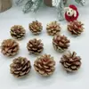 Pinhas Secas Naturais Materiais de Decoração para Árvore de Natal Fotografia de Bolos e Sobremesas Adereços para Fotografia de Buquês Florais Baoshi