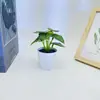 Película de Serigrafia Folha de 8 Folhas Transfronteiriça Planta Verde em Vaso Decoração Interna para Casa Vaso de Flores de Plástico Decoração de Entrada Varanda Ornamentos