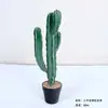 Cactus Pilares de Dragón Simulados Cactus Parásito Planta del Desierto Marroquí Decoración Suave para Paisajismo Modelo Decoración de Proyectos