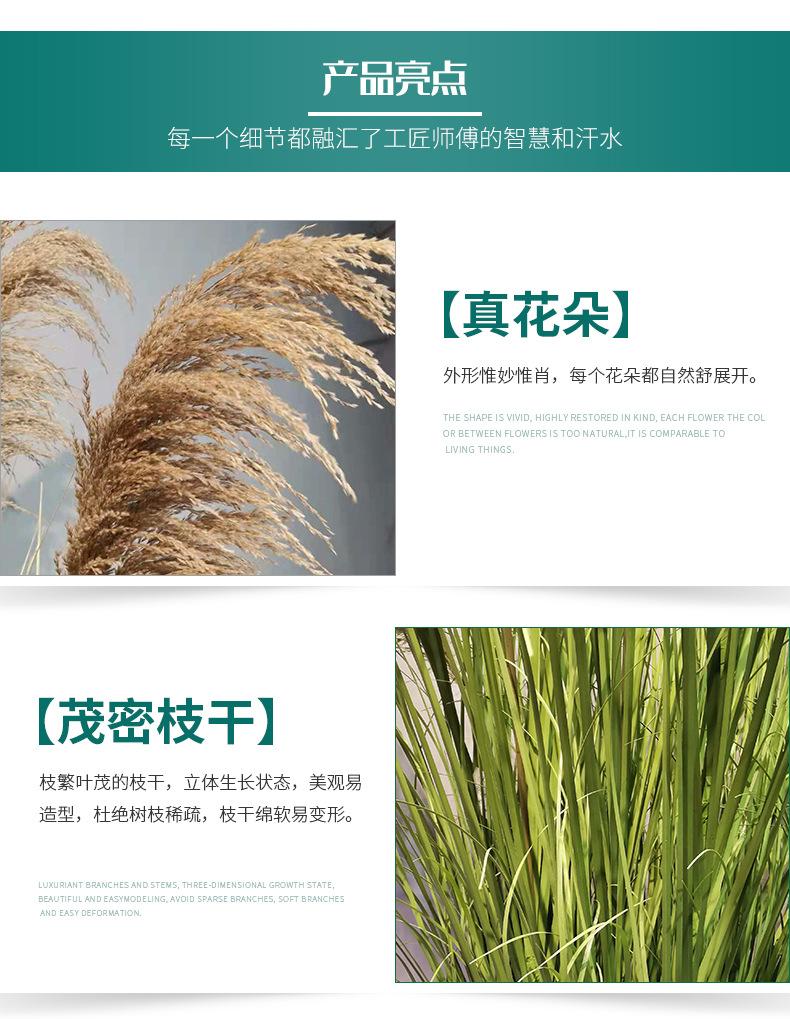 详情页-(2)_10.jpg