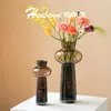 Vaso com Sensação de Luxo Leve e de Alta Qualidade, Estilo Vintage Nórdico, para Arranjos de Flores Frescas, Hidroponia, Design de Vidro Transparente, Decoração de Sala de Estar de Nicho