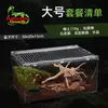 Caixa de Criação em Acrílico para Animais de Estimação Répteis, Cobras, Geckos, Caracóis, Lagartos, Sapos de Chifre, Aranhas, Tanque de Paisagismo para Floresta Tropical