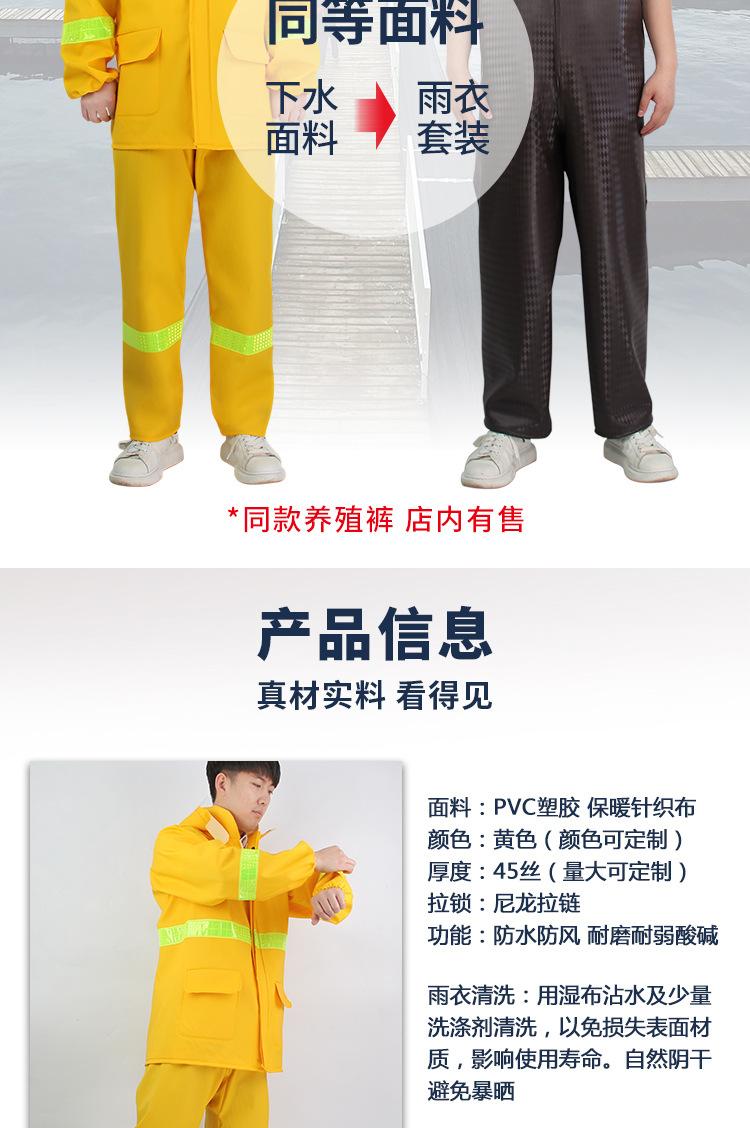 黄款加标_06