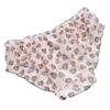Suministro a largo plazo Estilo japonés Fresco Transparente Estampado de leopardo Sexy Princesa Flash Triángulo Lindo Ropa interior para damas