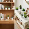 Set de Bonsái de Suculentas de Plástico Mini en Stock, Suculenta Artificial Creativa de Amazon, Flor Artificial Transfronteriza Planta en Maceta Pequeña