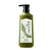Shampoo com Fórmula Puramente Natural com Folhas de Cipreste e Sabugueiro, Crescimento Capilar à Base de Plantas, Controle de Oleosidade com Óleo de Gengibre, Anticaspa, Anticoceira Shampoo para Revenda