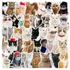 50 adesivos de gato gordo fofos para celular, scooter, mala, computador, grafite, adesivos criativos
