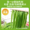 Salsa de Pimiento Verde para Perros Kaiwei para mezclar con arroz y fideos, para sándwiches, huevos encurtidos, pimientos verdes, ¡y como salsa picante para acompañar comidas! Artículo predeterminado al por mayor