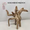 Ornamento de Paisajismo para Acuario Esqueleto Azalea Perezosa Plantas Acuáticas Hábitat Paisajismo Madera Flotante Tanque de Reptiles Acuario