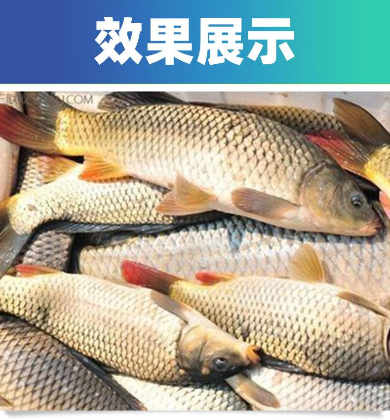 聚能3号详情页_10.jpg
