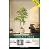 Planta en Maceta de Piso Nandina Domestica, Planta Verde Artificial Grande para Interiores, Decoración de Lujo Ligero para Sala de Estar, Árbol Artificial