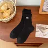 Calcetines de mujer de estilo coreano de moda, calcetines de media pantorrilla sin costuras, calcetines largos apilables de micro-presión, nuevos para primavera y otoño, con bordado de cachorro de dibujos animados