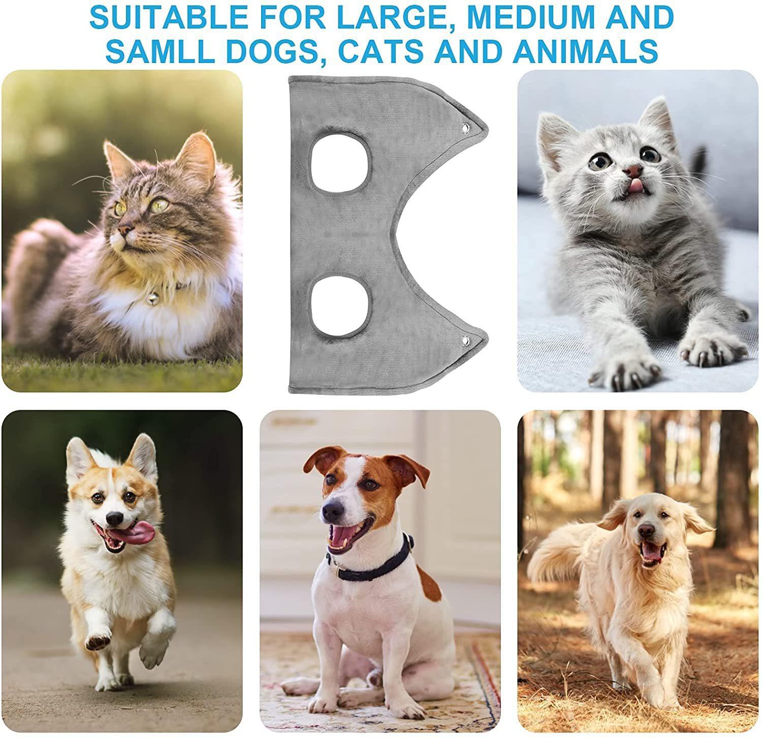 O1CN01BtFFpB1WWc9Iru9mf_!!2213