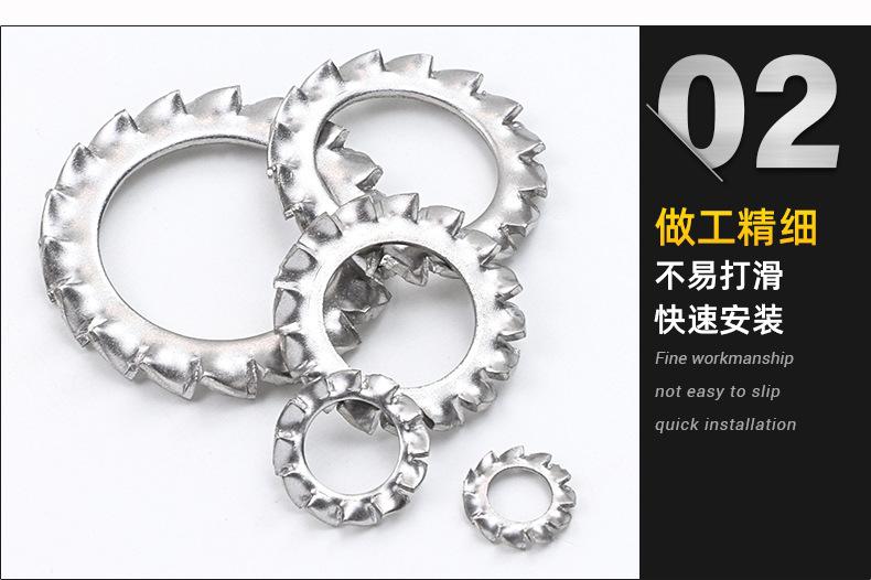 外齿多齿垫圈_02.jpg