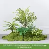 Musgo para Paisajismo de Plantas Verdes Plantas Artificiales Decoración Flores Artificiales Combinación Tropical para Interiores Paisaje de Ventana Persa Arreglo de Césped