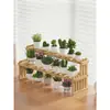 Suporte de Planta Suculenta para Peitoril de Janela, Prateleira de Janela de Chão para Sala de Estar, Suporte Pequeno de Flores de Madeira Maciça para Mesa, Prateleira de Armazenamento de Enfeites de Múltiplas Camadas
