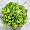 Arranjo de Flores de Hortênsia Simulada Multicolorida para Casamento Decoração de Salão de Casamento em Estilo Ocidental Decoração Conjunto de Local Fábrica Atacado de Flores Artificiais