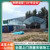 Fabricante Produce Invernaderos Multispan 8432 con Estructura de Acero Ligero, Alta Capacidad de Carga, Control de Temperatura, Diseño Según Planos, Galvanizado en Caliente