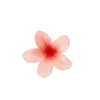 Conjunto de Presilhas de Cabelo Doces de Frangipani Estilo Verão Transfronteiriço, Grampo para a Parte de Trás da Cabeça, Presilha Tubarão, Acessório de Cabelo de Flor de Acrílico