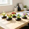 Venta Caliente Transfronteriza Tres Crisantemos de Caballero Maceta Plana Pequeña Planta en Maceta Adorno Hogar Dormitorio Decoración de Escritorio Flor Artificial Pequeño Arreglo de Bonsái