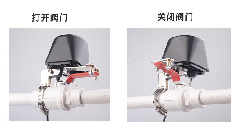 O1CN01lwMq7N1qPYHmtsYrJ_!!6202