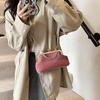 Bolso de Mano Pequeño de Estilo Elegante de Alta Gama con Cierre de Clip para Vestido de Cena de Mujer, Bolso Shell Bandolera de Cadena a la Moda