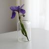 Amazon Vaso Pequeno de Vidro Borossilicato Transparente Arranjo de Flores de Vidro Recipiente para Plantas Hidropônicas Venda por Atacado de Fábrica