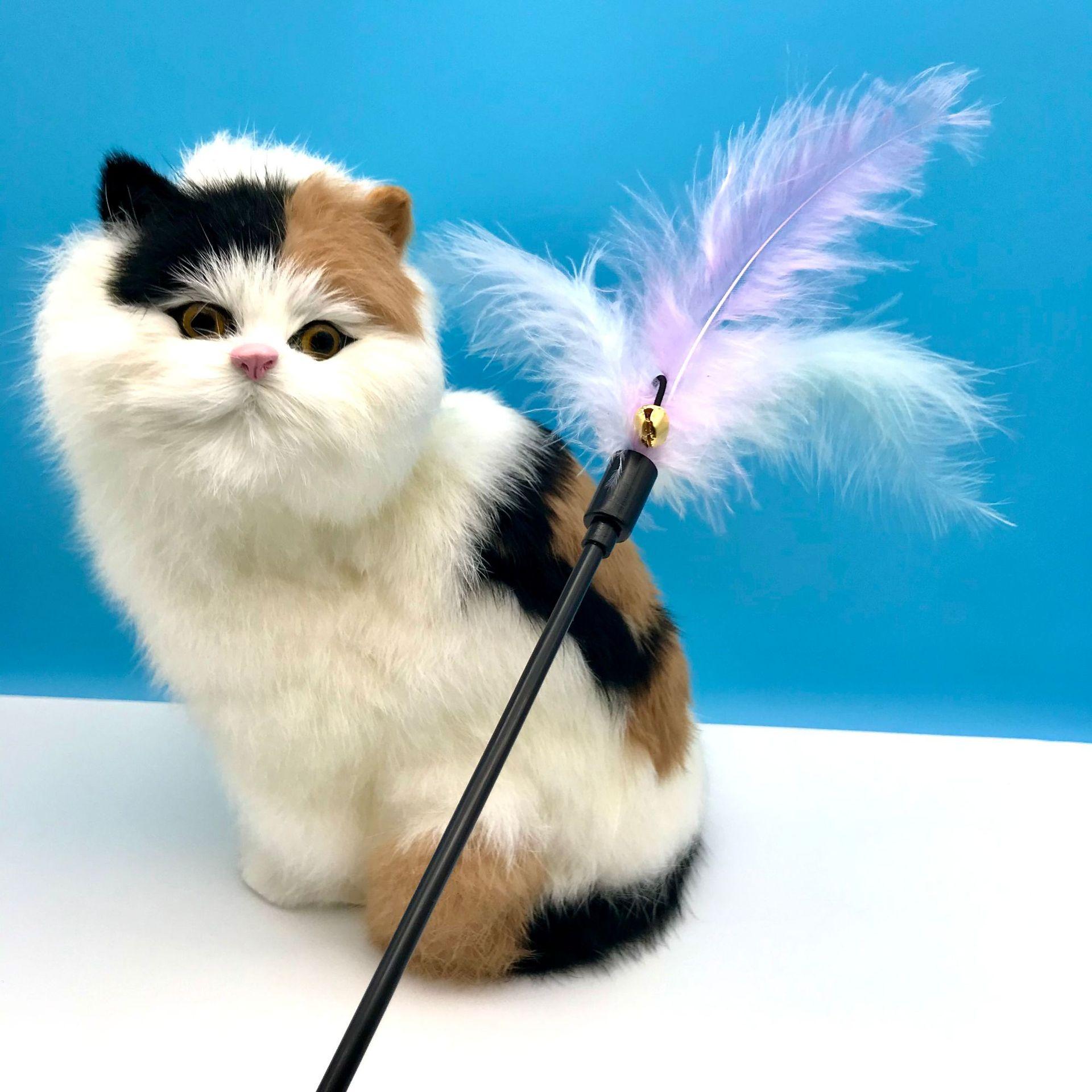 微信图片_20221003172715