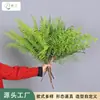 Samambaia mimosa folha de samambaia cauda de leque planta parede decoração macia arranjo de flores material de folha grama artificial galho grande samambaia persa