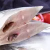 Pez Plata Pescado Plano Capturado en Estado Salvaje Aguas Profundas Congelado Pescado Blanco Grande Mariscos Productos Acuáticos Caballa Productos Acuáticos Frescos Venta al por Mayor Comercial