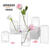 Adornos de Jarrón de Vidrio de Borosilicato Alto Estilo ins Jarrón de Boca Pequeña de Aspecto Elevado Arreglo Floral Hidropónico Decoración Suave Venta al por Mayor