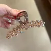 Presilha de Cabelo com Pedras de Cristal Cor de Champanhe, Tamanho Médio, Luxo Leve, Brilhante, Antiderrapante, Elegante, Acessório de Cabelo Versátil para o Dia a Dia