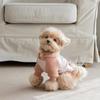 Roupas Quentes para Gatos de Estimação Teddy Bichon Yorkshire Poodle Cães de Pequeno Porte Cachorro com Capuz Combinando Cores Moletom Outono e Inverno