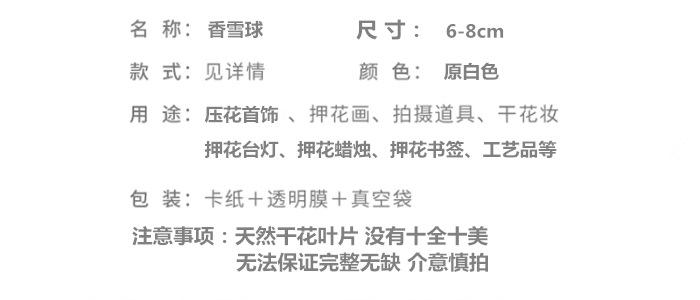 香雪球.png