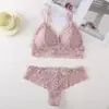 Comércio Exterior Transfronteiriço Conjunto de Lingerie Sexy Sutiã com Costas Abertas de Renda Calcinha Sutiã de Triângulo Feminino Roupa Íntima Feminina