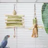 Juguetes para Loro Tallo de Papaya Natural Tejido de Paja Auto-Entretenimiento Alivio del Aburrimiento Periquito Agaporni Suministros para Mascotas Juguetes Paisajismo