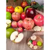 Modelo de Manzana Roja Verde Simulación Espuma Fruta Falsa Verduras Accesorios Educación Temprana Juguetes de Jardín de Infancia Decoración Fotografía Adornos