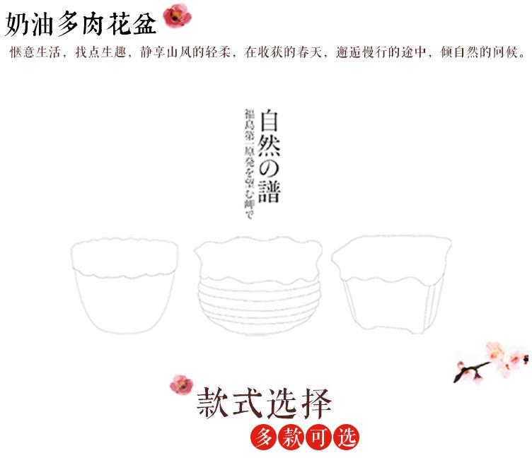 页头 奶油多肉盆