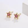 Pendientes Aogu Ins Lindos y Frescos Cobre Oro de 18 Quilates Circonita Microincrustada Estrella de Cinco Puntas Pendientes Geométricos para Mujer Producto Caliente Transfronterizo