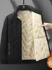 Chaqueta de invierno de lana de cordero y algodón de marca moderna transfronteriza para hombres jóvenes, corte holgado, cuello alto, forro polar, abrigo de algodón engrosado