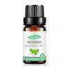 Empaque Completamente en Inglés Aceite Esencial Único de Árbol de Té para Fragancia de Velas DIY, Aceite Esencial de Árbol de Té, Aceite Esencial de Aromaterapia de Árbol de Té