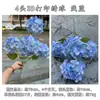 Nuevas hortensias azules de comercio exterior ramo azul rosa peonía hortensias boda decoración suave flores artificiales al por mayor